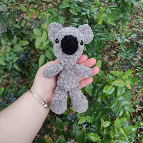 Koala
