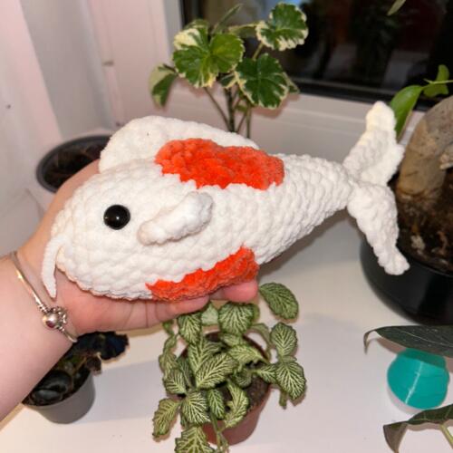 Koi fish
